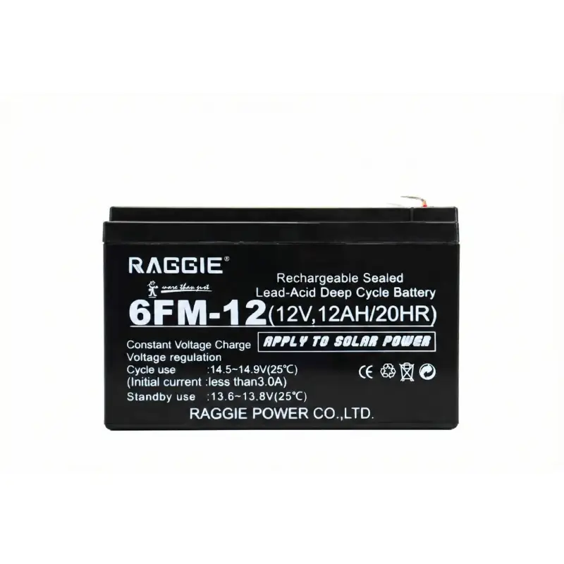 BATTERIE ONDULEUR 12V-12AH RAGGIE - Image 1